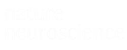 logotipo (2)