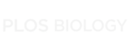 logotipo (6)